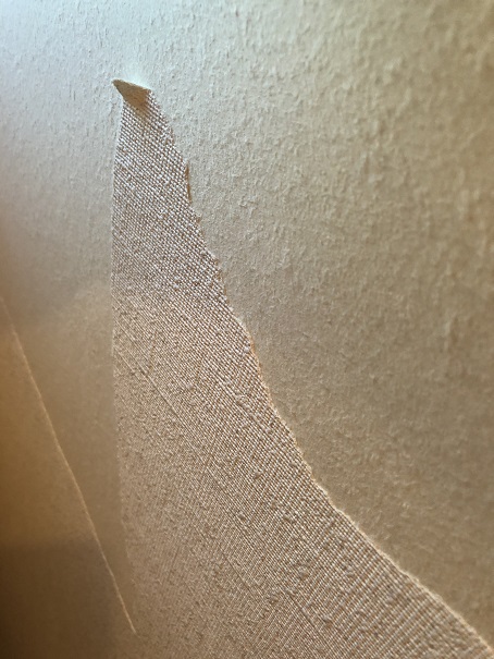 壁紙の隅っこを指でこすると、くるっと丸まって剥がしやすくなる
